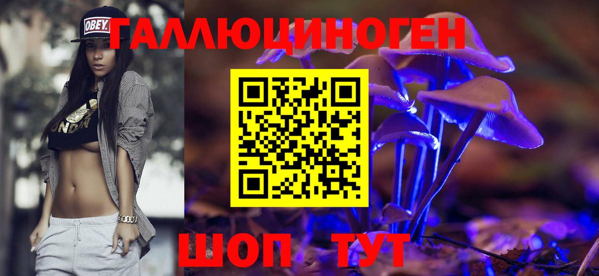 Галлюциногенные грибы GOLDEN TEACHER Искитим