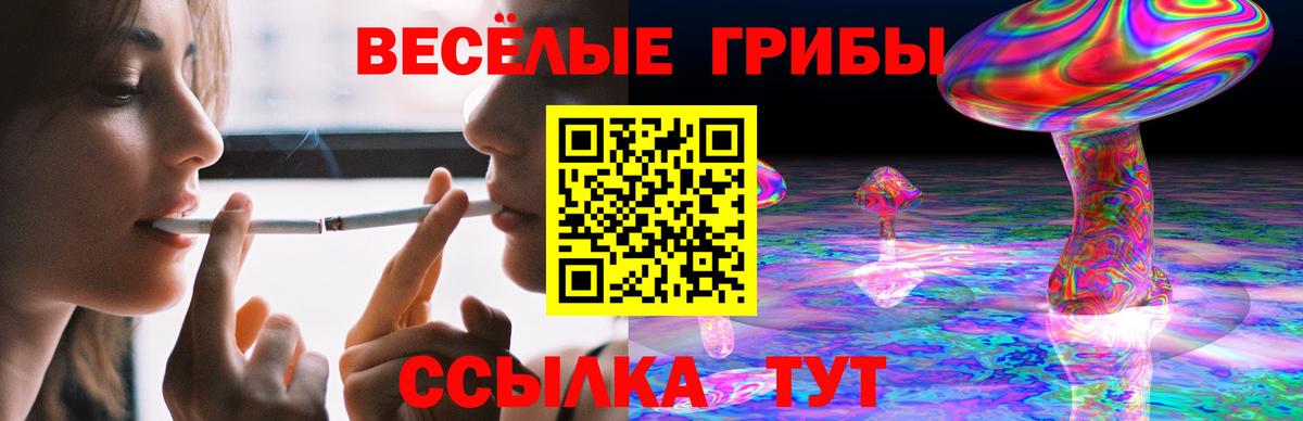 Галлюциногенные грибы Psilocybine cubensis  Вход с VPN  Псилоцибиновые грибы Cubensis  Искитим 